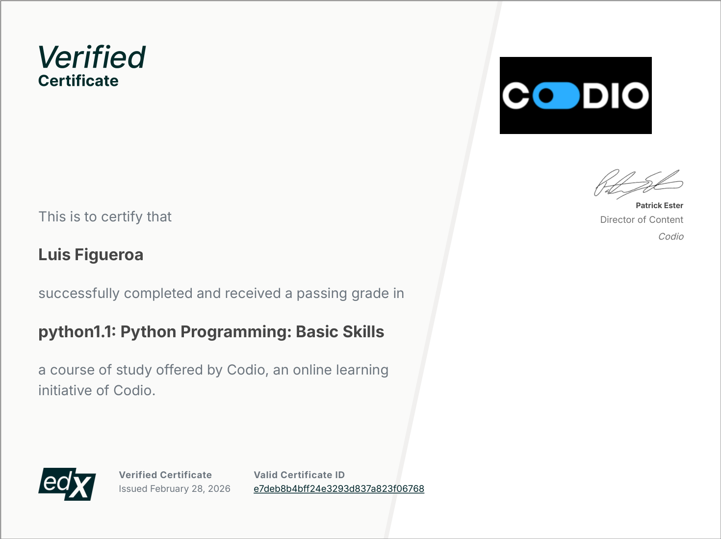 Python Programming: Basic Skills certificate